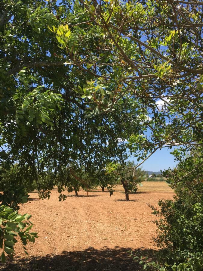 波勒瑞斯Finca Es Vinyet别墅 外观 照片